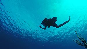 Wounded War Heroes Learn To Dive [VIDEO]