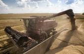 How Ukraine's And Russia's Grain Markets Are Weathering The Crisis